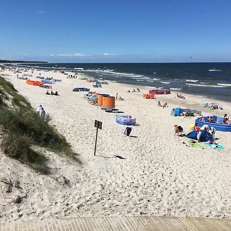 Niebieskie Migdaly